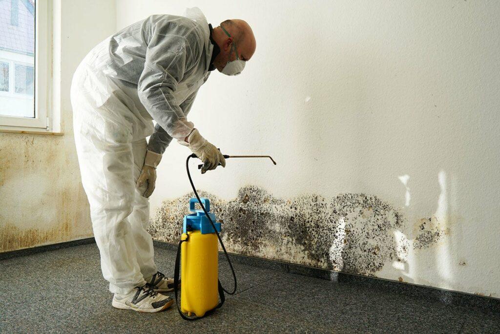 mold removal companies,mold remediation companies,mold inspection companies,professional mold removal,residential mold removal,mold removal near me,mold specialists,mold treatment,houston texas